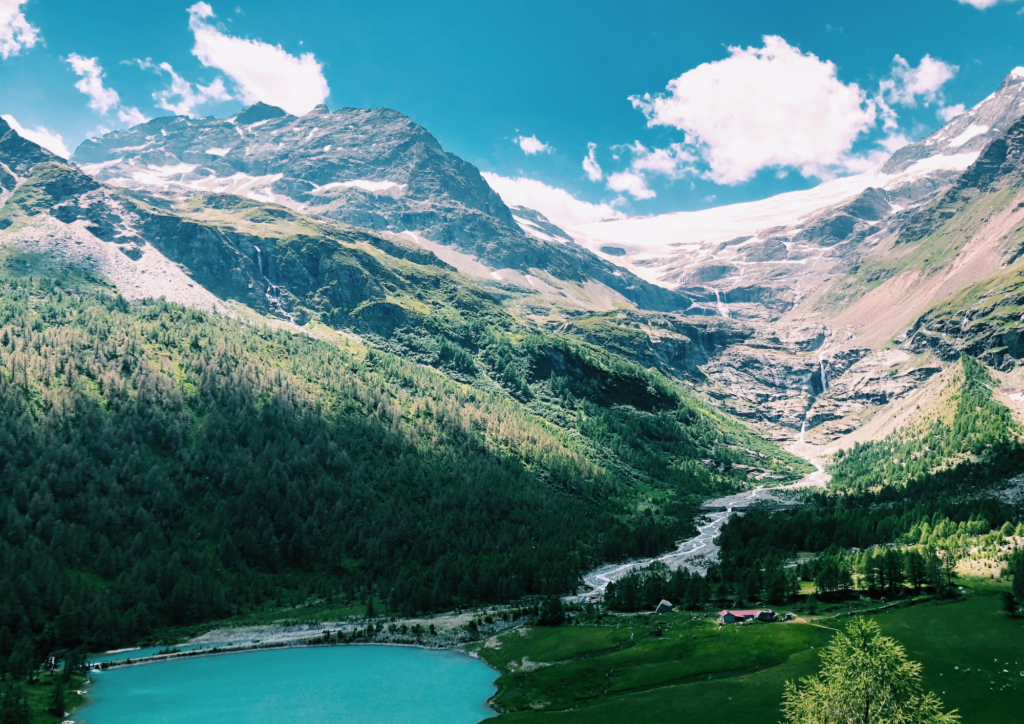 Transfert de Capital