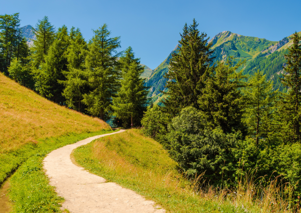 Transfert de Capital